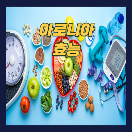 아로니아 효능