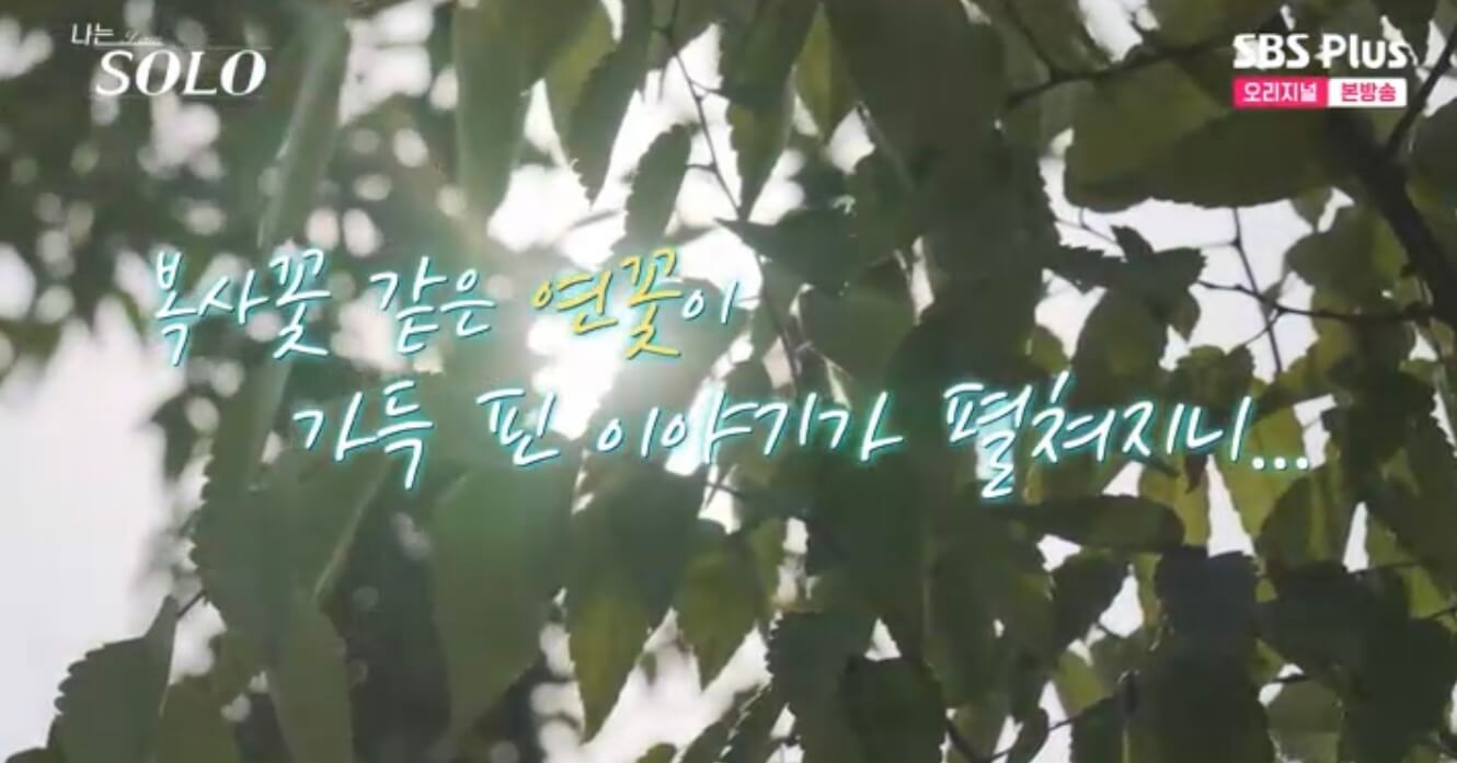 나는 솔로 17기 인스타 영숙 옥순 순자 정숙 현숙 영자