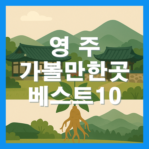 영주 가볼만한곳 베스트10 썸네일