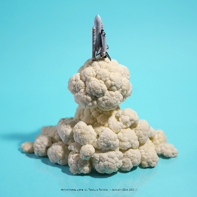 Space Shuttle Cauliflower