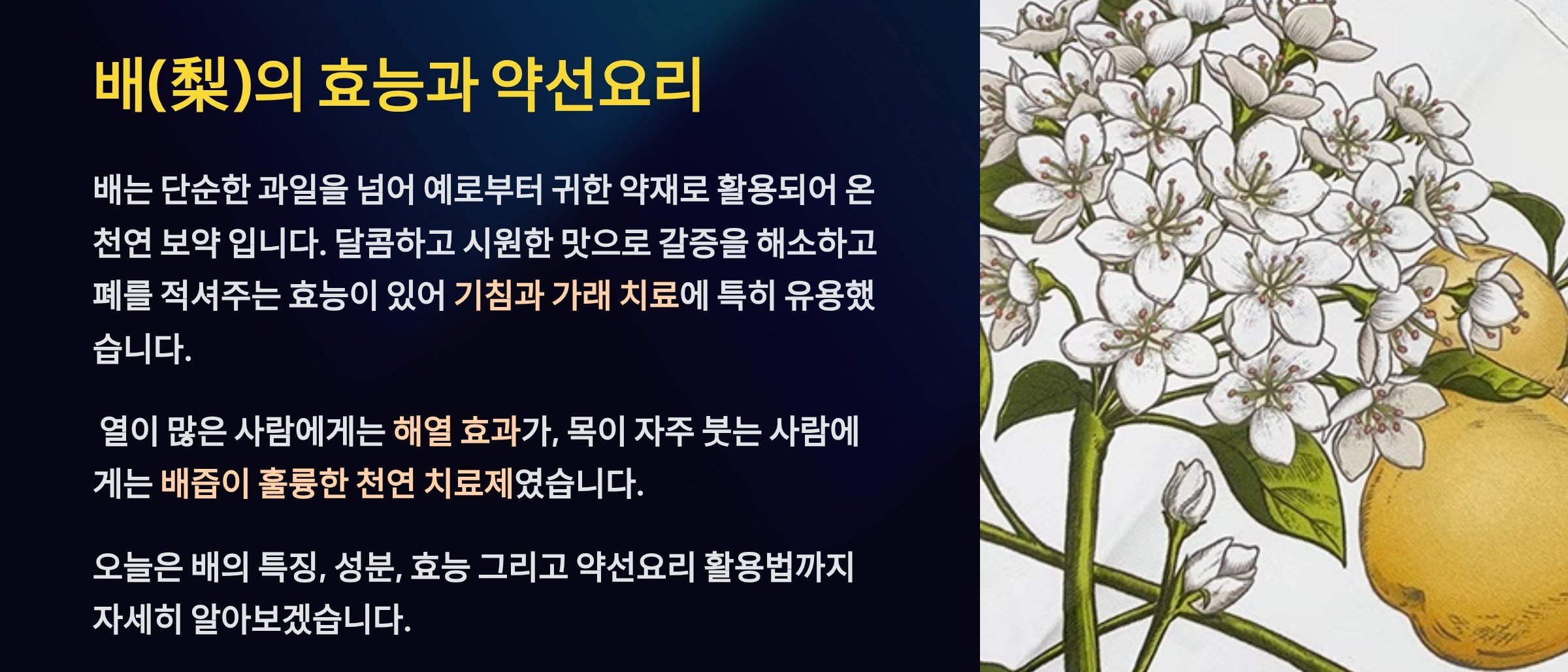 배