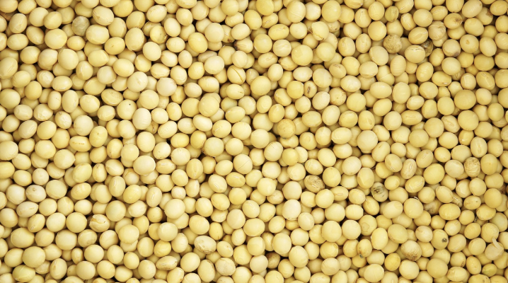 글로벌 식량 위기와 국내 농업 정책: 식량 자급률을 높이기 위한 전략