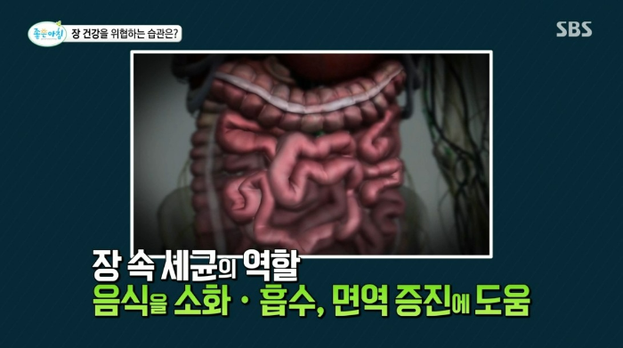 장 건강을 위해 알아야 할 유산균, 유해균 그리고 중간균!