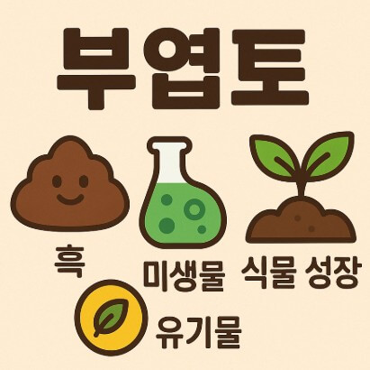 부엽토 종류와 선택 : 식물 성장에 맞는 흙 고르는 법 사진