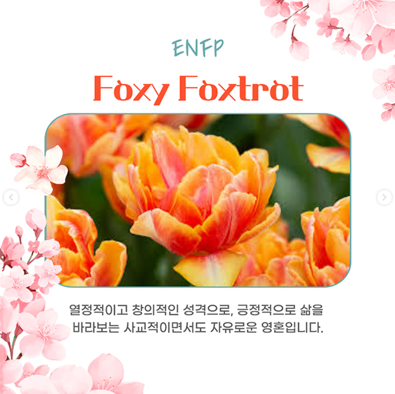 태안 세계튤립꽃박람회 운영시간