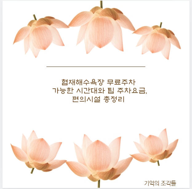 협재해수욕장 무료주차 가능한 시간대와 팁 주차요금, 편의시설 총정리