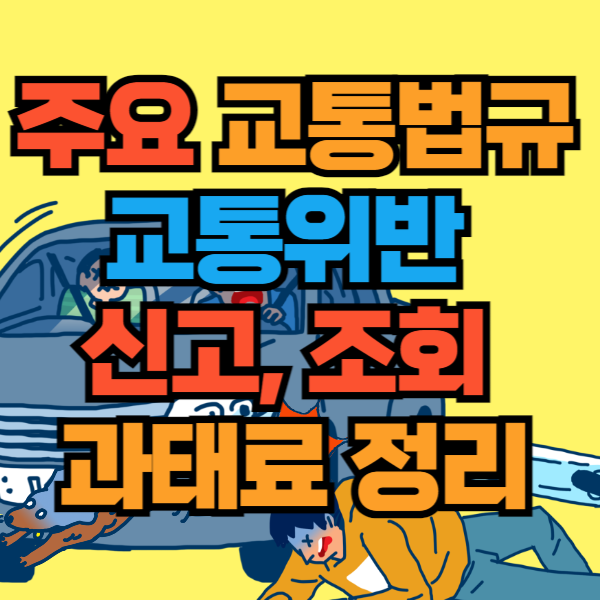 교통위반 신고