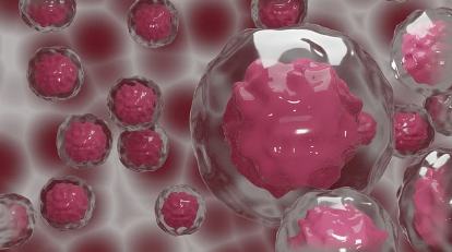 멜라토닌 암 억제