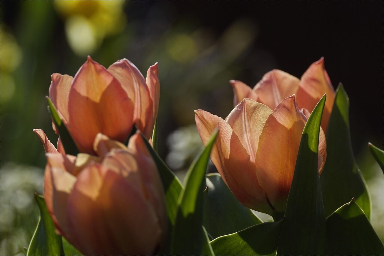 이삭토스트 창업비용