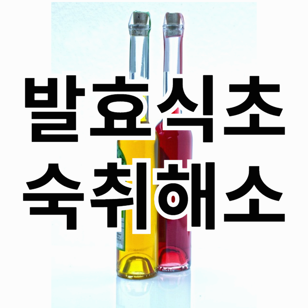 숙취 해소 발효식초 해장 효과