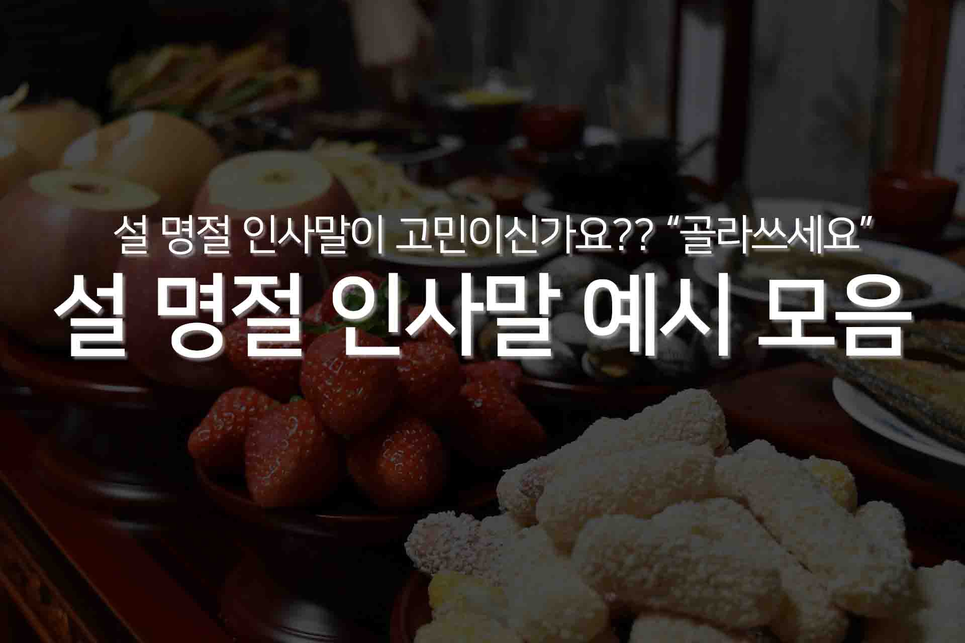 참고 이미지4