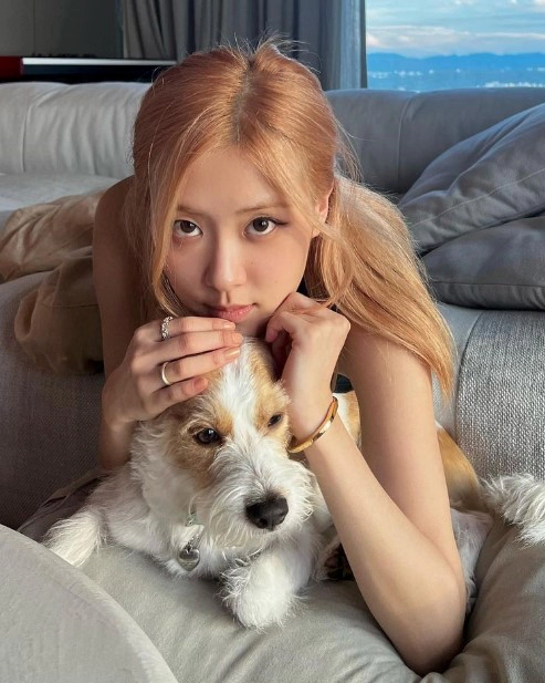 로제 나이 국적 학력 블랙핑크 프로필