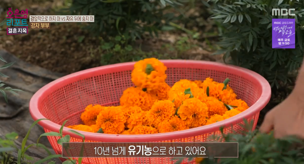 오은영-리포트-결혼지옥-88회-강자부부