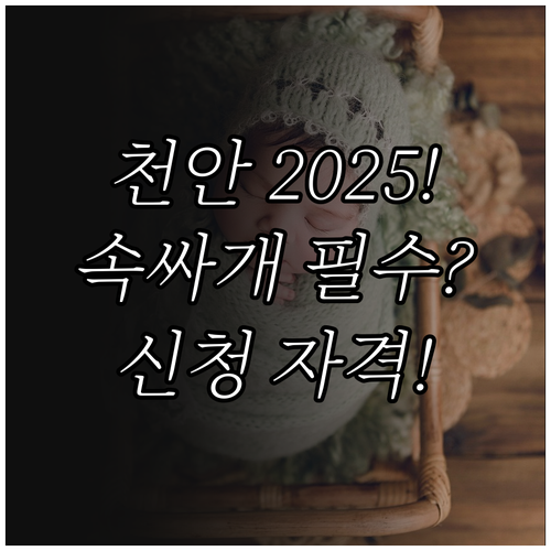 천안시 신생아 출생축하용품 2025 ..