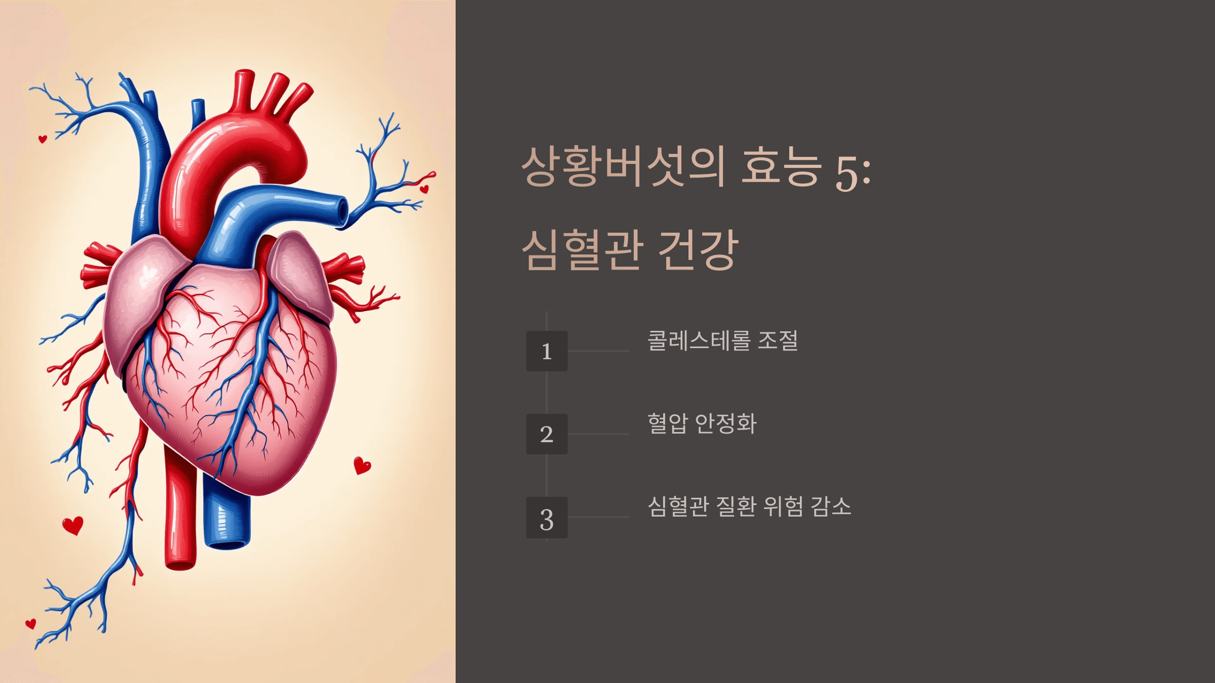 상황버섯과 관련된 사진입니다.