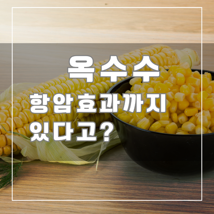 옥수수