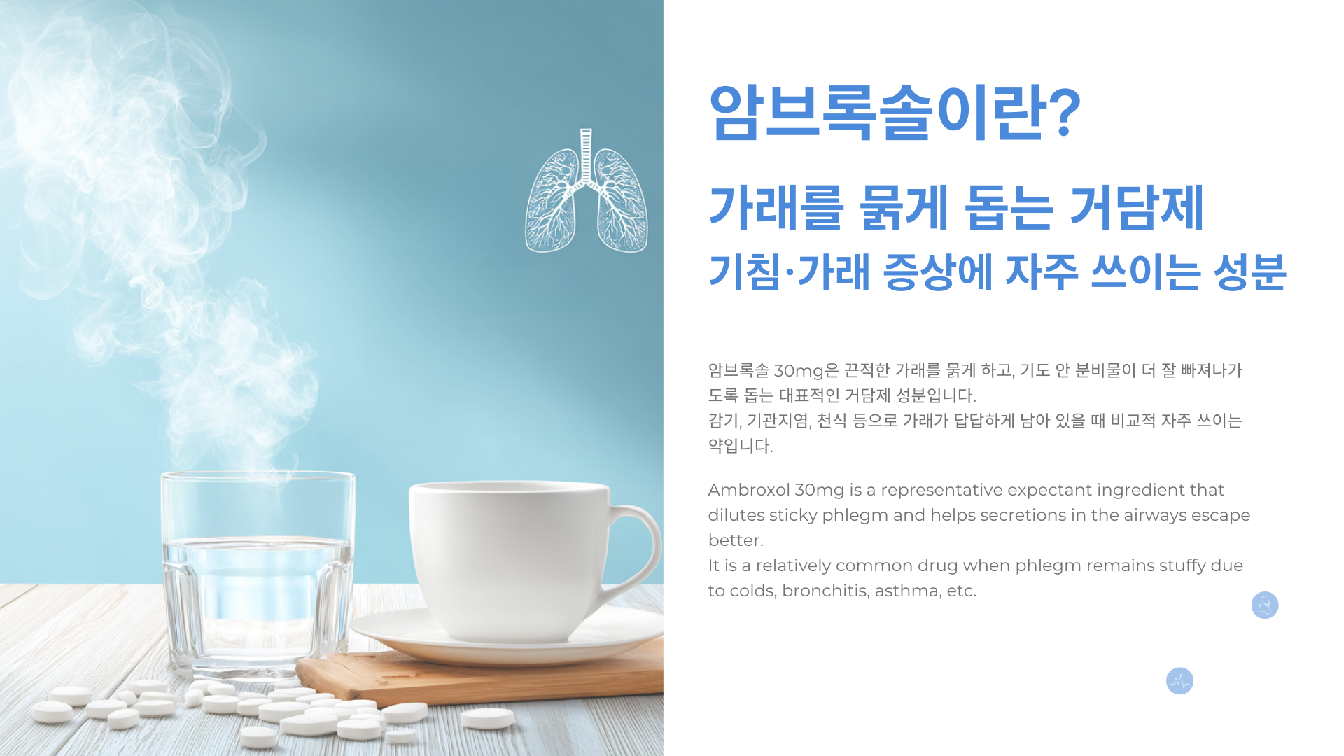 기관지와 가래를 상징하는 심플한 건강정보