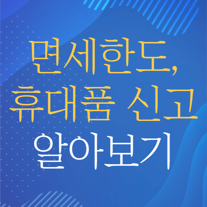 면세한도 및 휴대품 신고 방법 알아보기