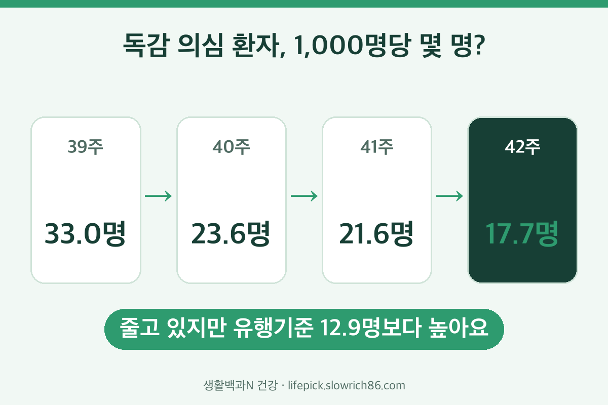 요즘 감기증상 독감 의심 환자 비율 39주 33.0명 42주 17.7명 유행기준 12.9명