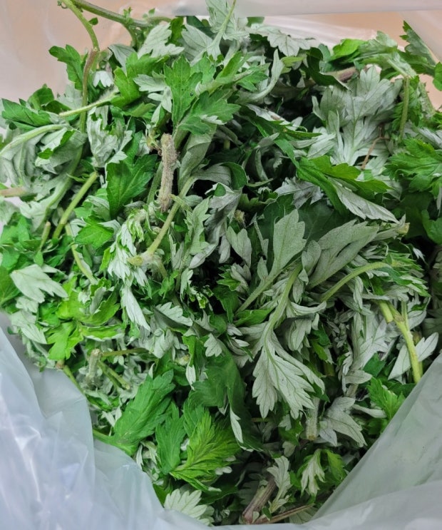 거문도 쑥가루 효능 먹는 법 편스토랑 문정희 쑥두유 변비쾌변 주스레시피