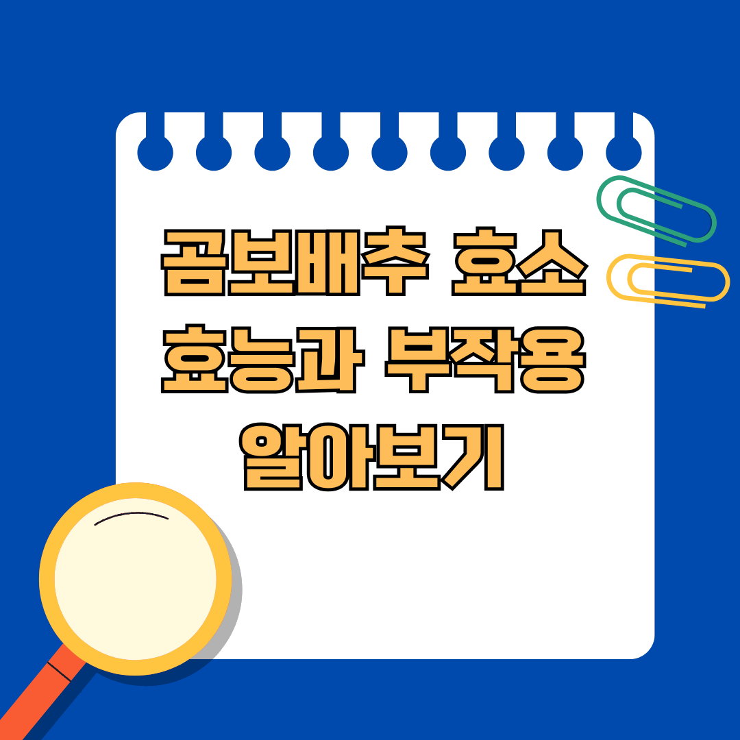 곰보배추 효소 효능과 부작용 알아보기
