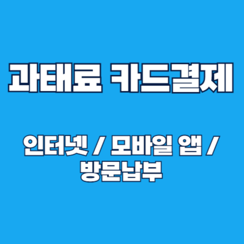 과태료 신용카드 결제 방법(모바일, 인터넷, 방문) 스마트 납부 완벽 가이드