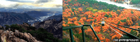 단풍여행 당일 단풍버스여행