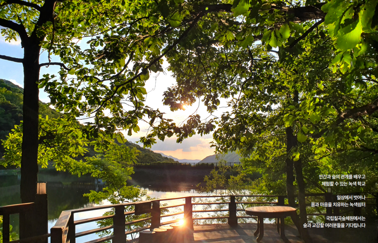 국립칠곡숲체원