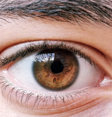 녹내장 치료법 진단 기준 합병증