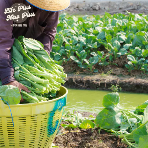 농지연금의 종류