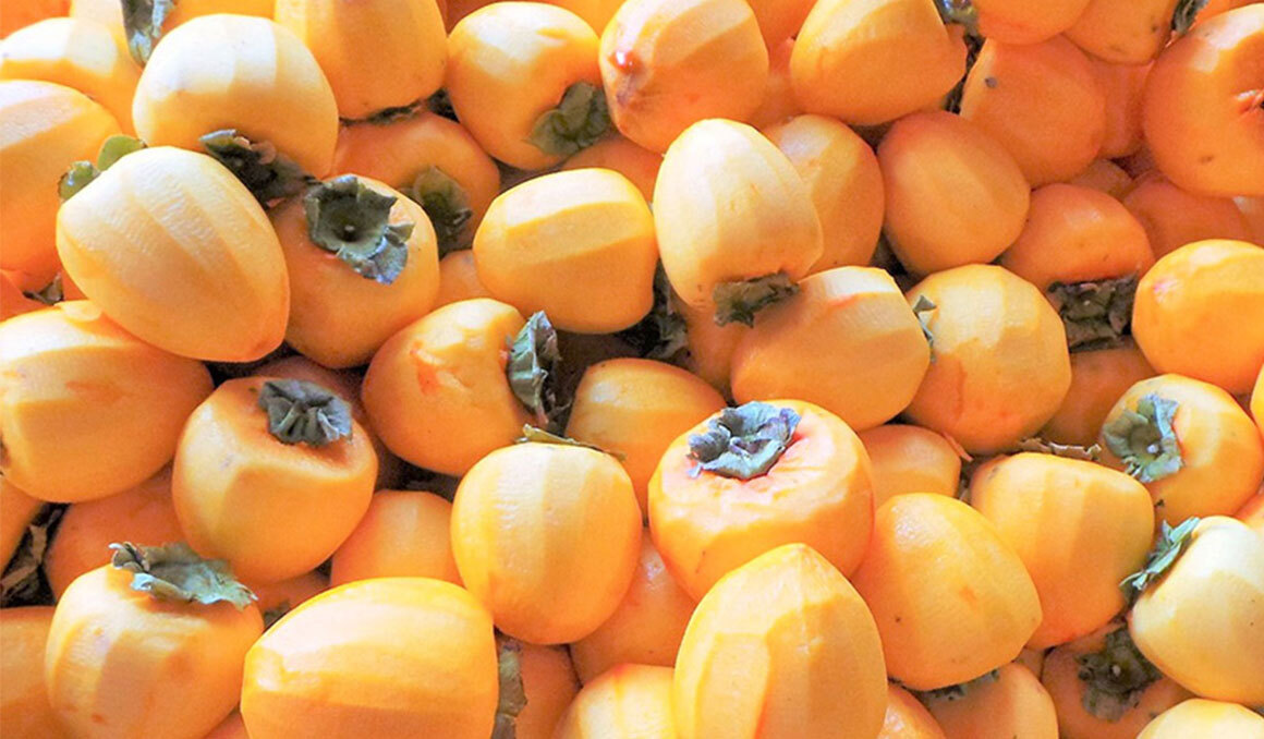 제 13회 함안 곶감 축제 기본일정과 프로그램 소개