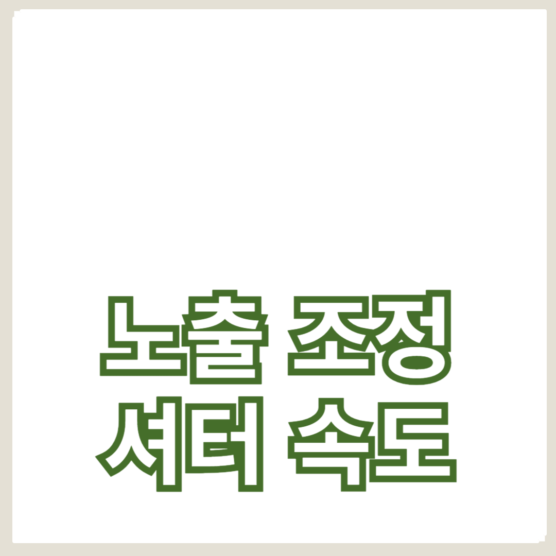 노출 조정과 셔터 속도로 완벽한 사진 촬영하기