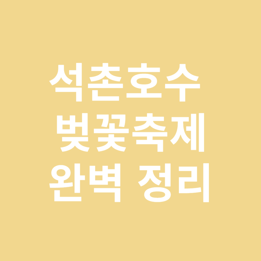 석촌호수 벚꽃축제