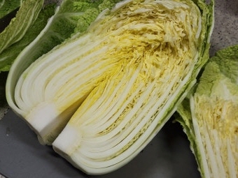 11월 제철음식 배추