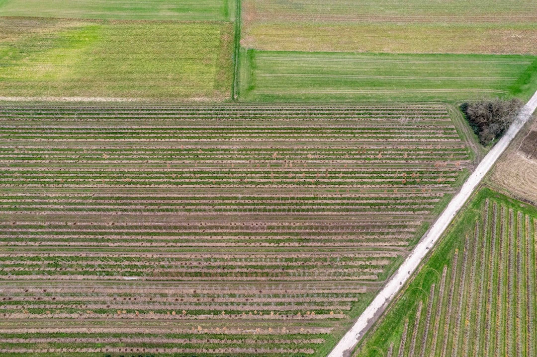 Agricultural Management