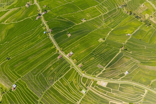 토지대장-무료-열람-및-발급하는-방법