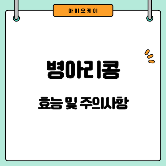 병아리콩효능