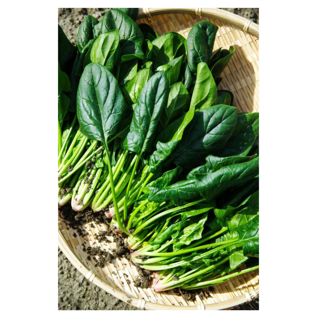 변비에 좋은 음식과 관련된 사진입니다.