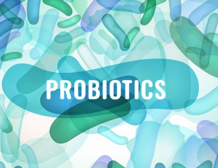 프로바이오틱스 Probiotics