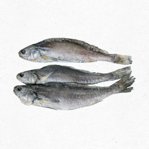 민어 숙성회와 매실장 소스