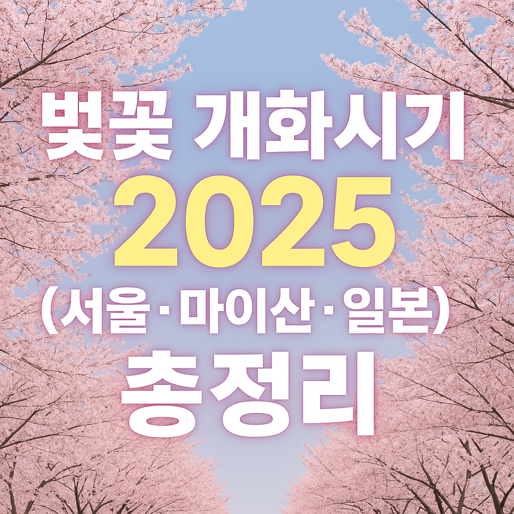 벚꽃개화시기