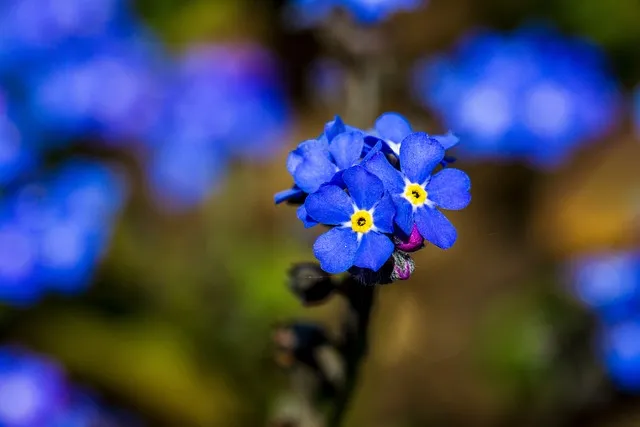 걱정말아요 그대 악보 합창 기타 가사 드럼 악보_4