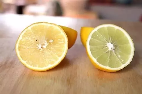 스위트레몬과 베르가못 단면 비교