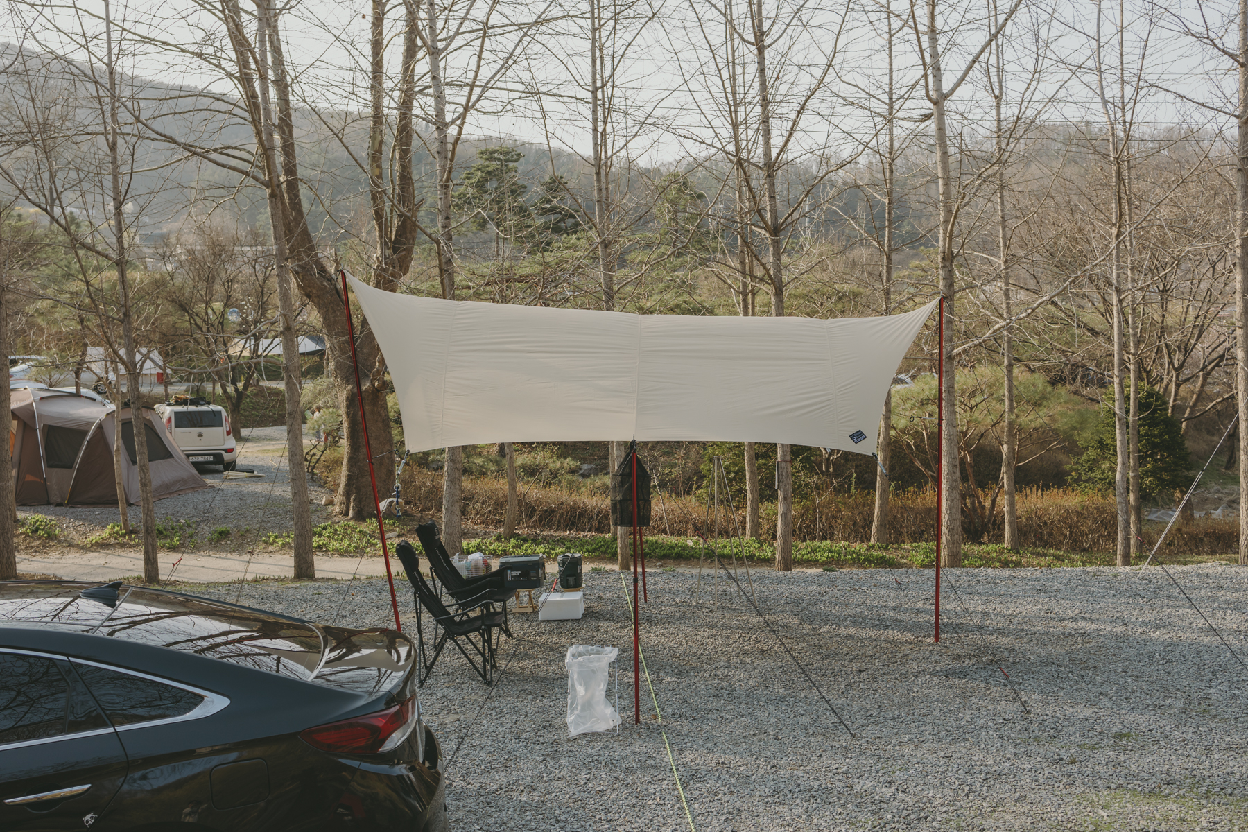 꼴로르 옥타 타프 옆모습