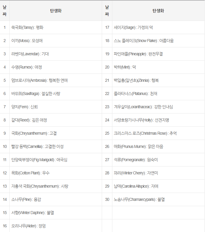 일별 탄생화-의미-꽃말-1~12월-월별