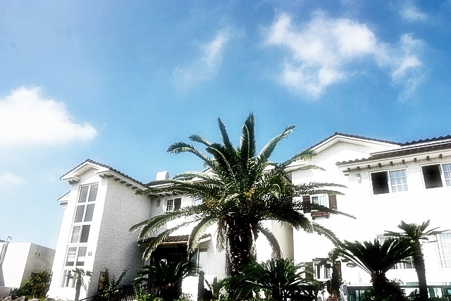 펜션 예약 사이트 베스트3