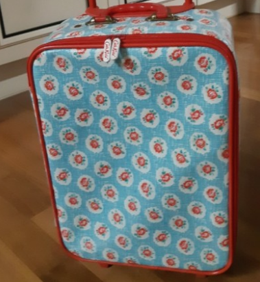 2024년 어린이캐리어 브랜드추천 TOP 5