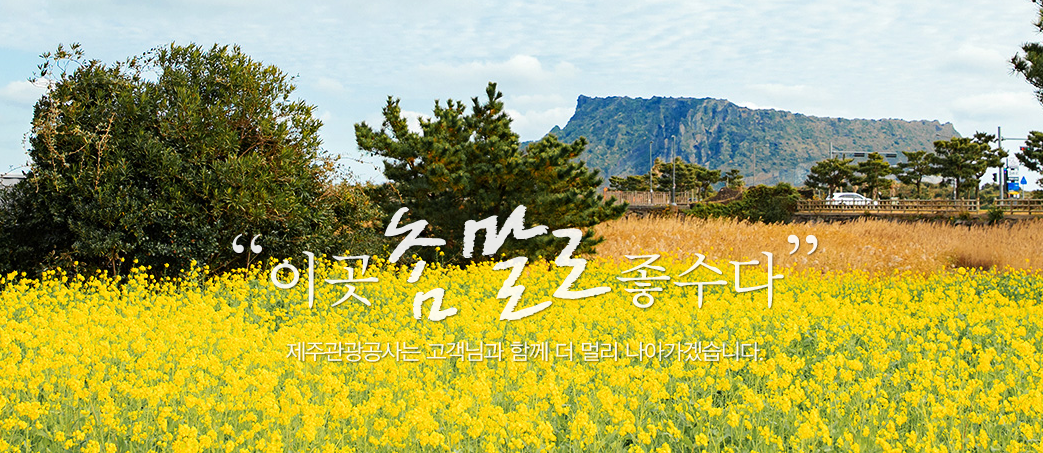 제주도 여행 할인받고 가기