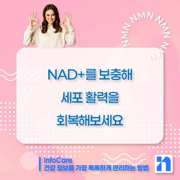 NMN 효능 효과 복용법