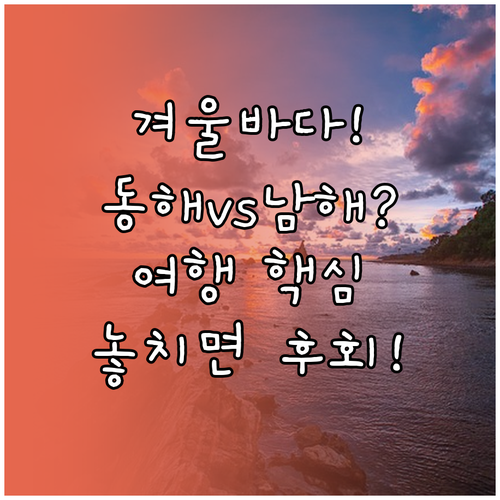 대한민국 겨울 바다 동해 남해 여행지..